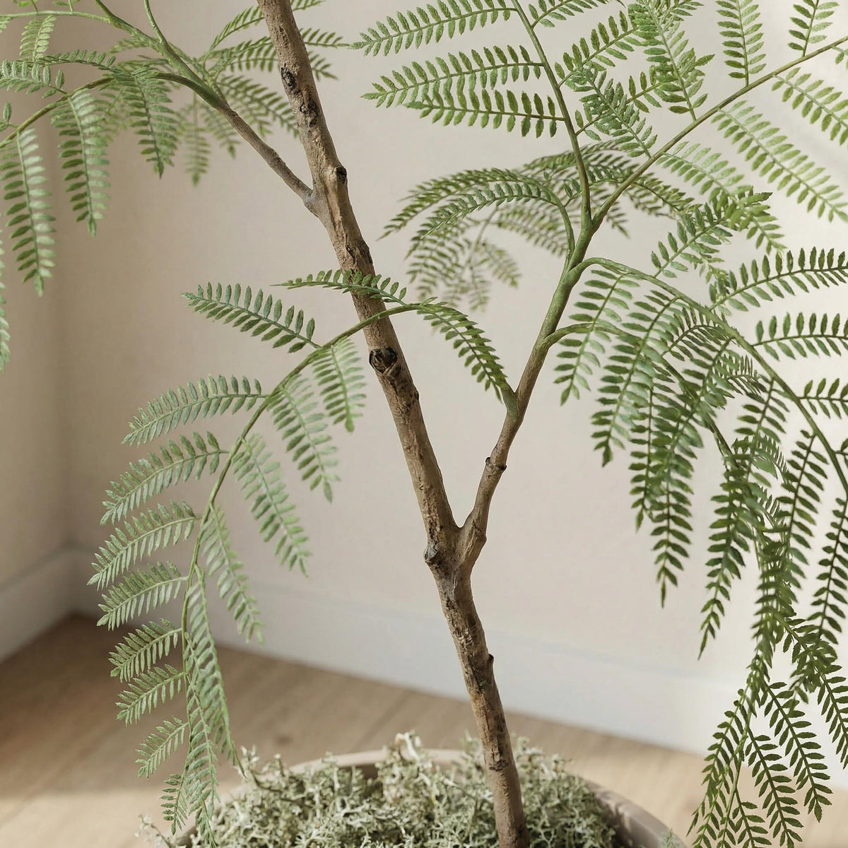 Kunst jacaranda 170–200 cm, close-up stam en geveerd blad