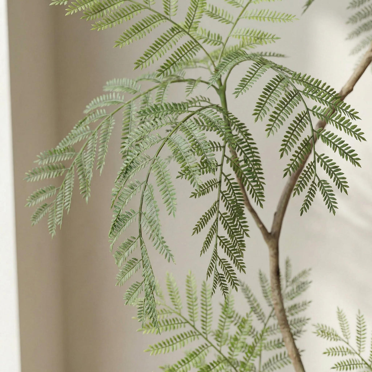 Kunst jacaranda 170–200 cm, close-up geveerd blad