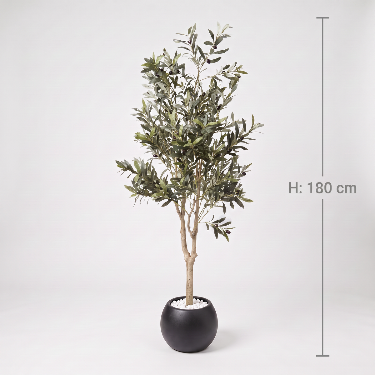 Künstlicher Olivenbaum 180 cm im schwarzen Kugeltopf mit weißen Steinchen, frontal auf hellem Hintergrund, mit Höhenangabe