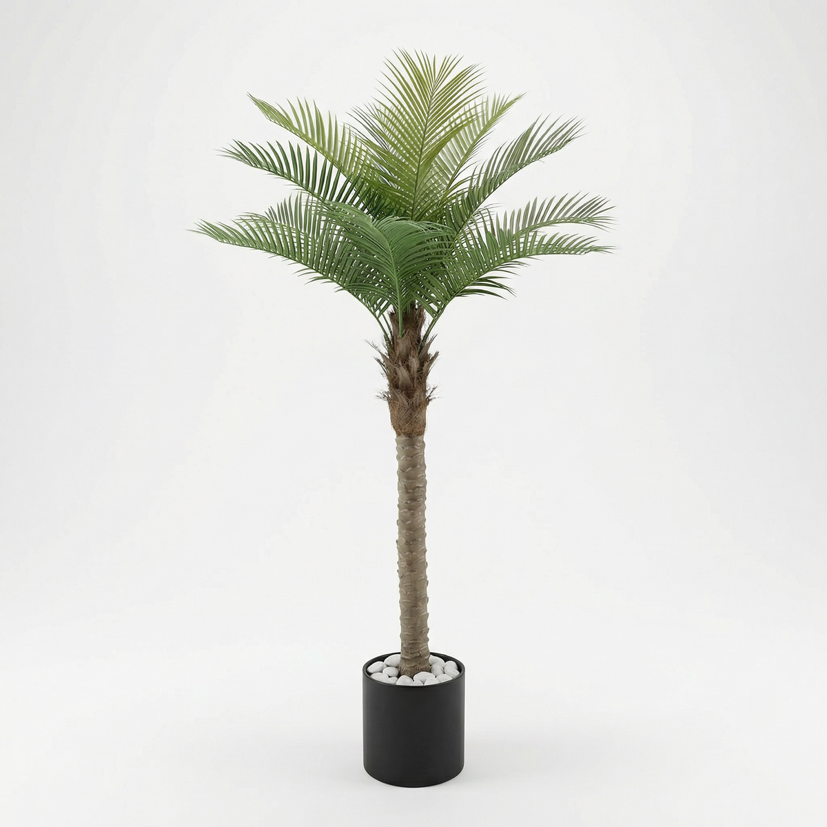 Kunst kokospalm 160 cm, volledige plant op witte achtergrond