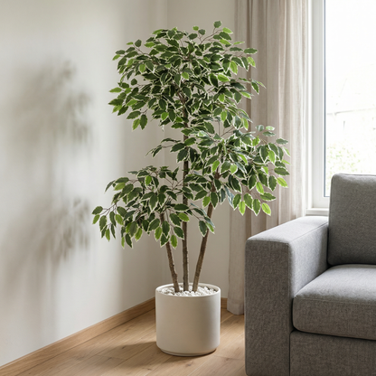 Künstlicher Ficus Benjamina 150 cm mit Dekotopf