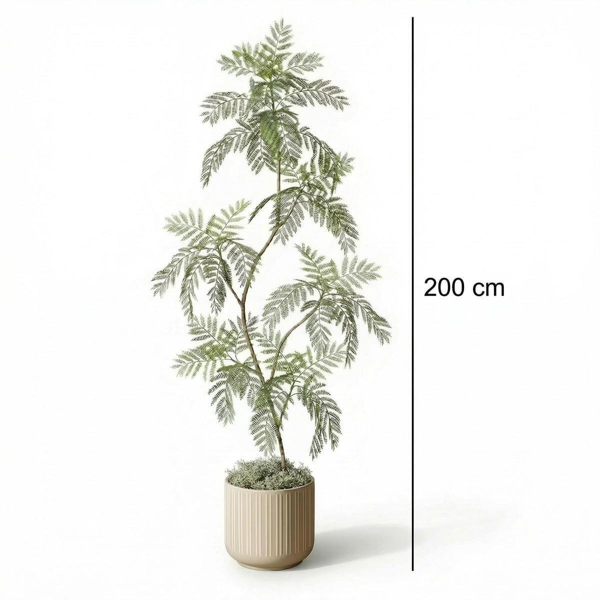 Kunst jacaranda 170–200 cm, maatvoering 200 cm