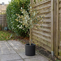 Kunst Eucalyptus 150 cm met decoratieve pot