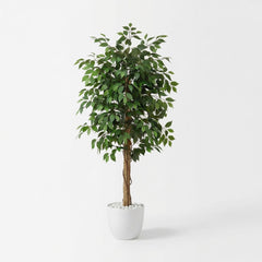 Kunst Ficus Nitida 180 cm