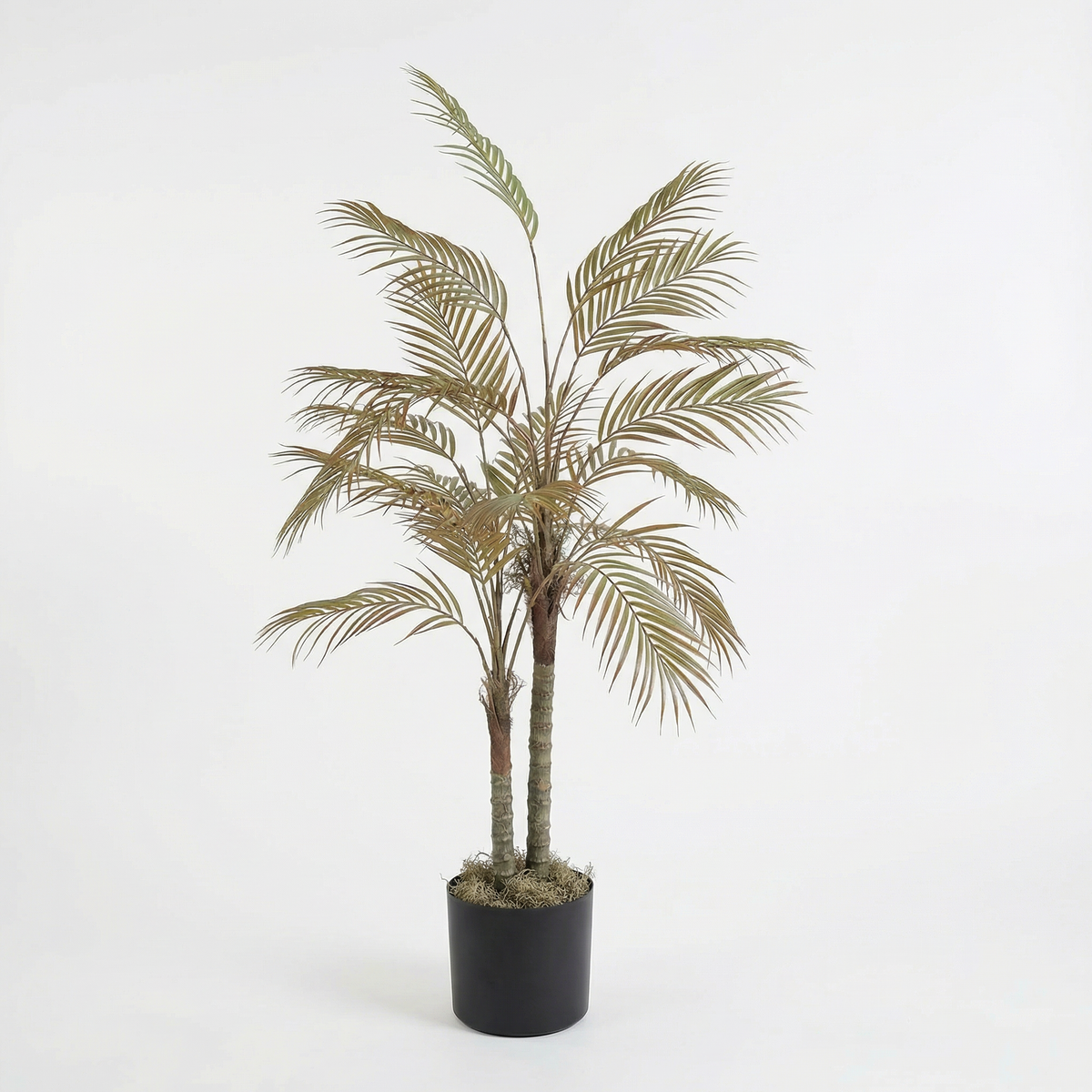 Kunst phoenixpalm droog 150 cm, volledige plant op witte achtergrond