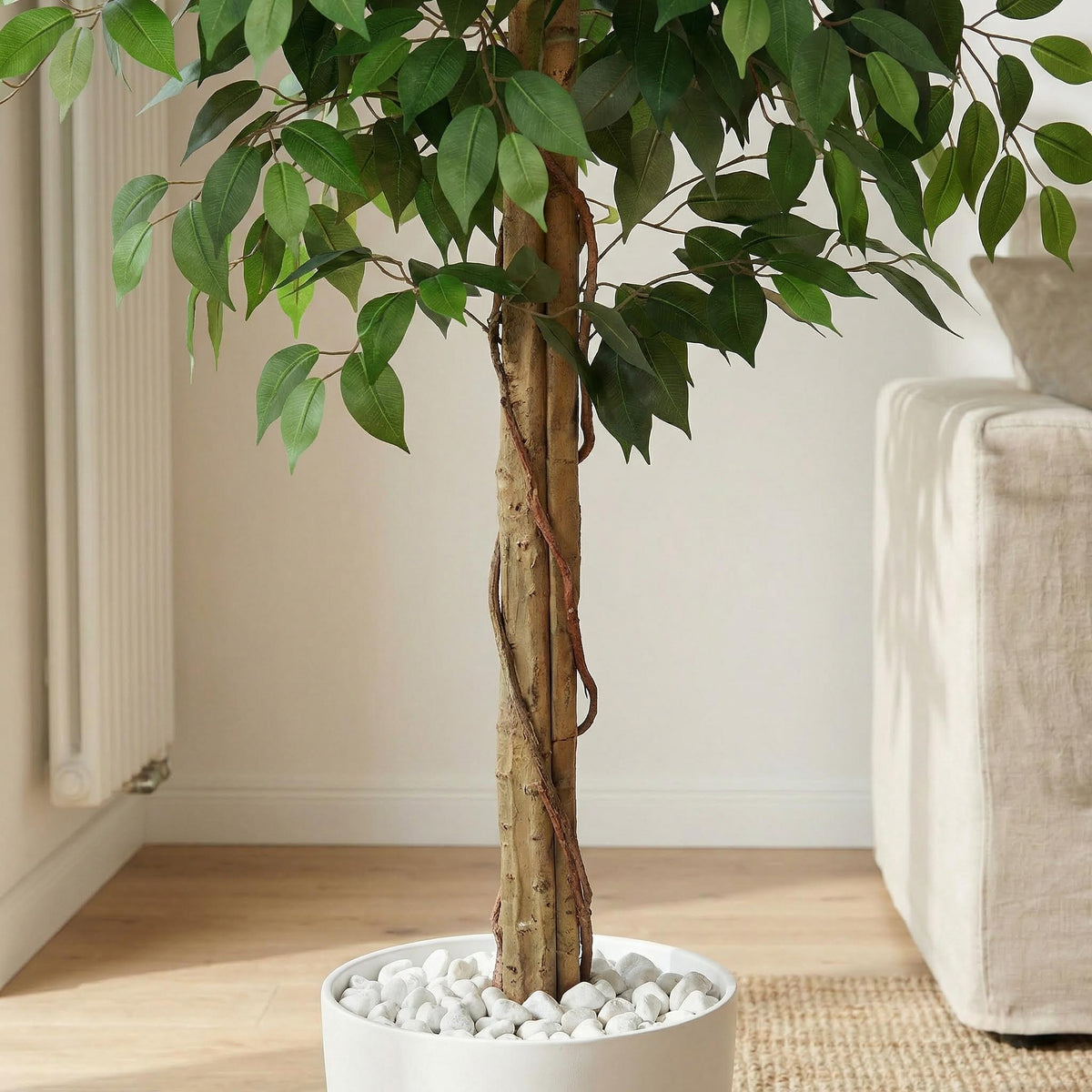 Kunst ficus nitida 180 cm, close-up gedraaide stam en pot met witte stenen