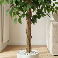 Kunst Ficus Nitida 180 cm