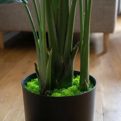 Kunstig strelitzia 180 cm