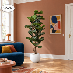 Kunst Ficus Lyrata 150–210 cm
