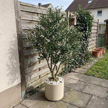 Künstlicher Olivenbaum 210-240 cm