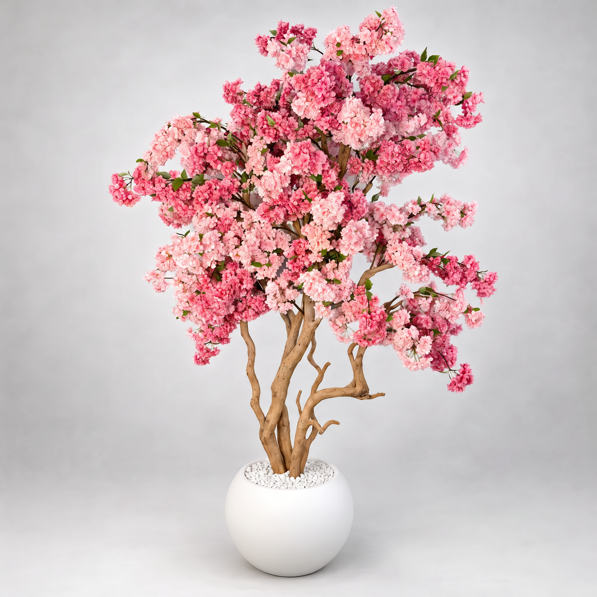 Kunst kersenboom roze 220 cm, volledige boom op witte achtergrond