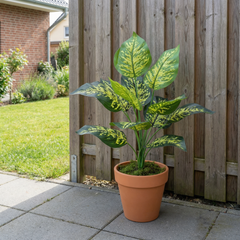 Kunst Dieffenbachia Stelen Groen-Geel 45 cm
