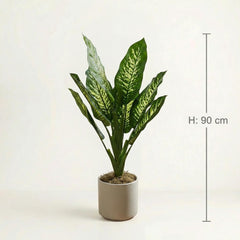 Kunst Dieffenbachia 90 cm
