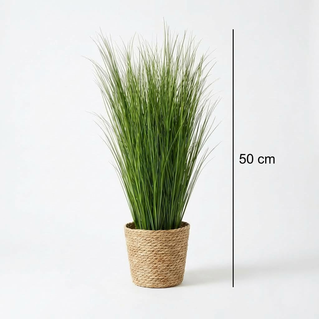 Künstliche Schilfgras-Rispen 50 cm (10 Stück), Abmessungen 50 cm