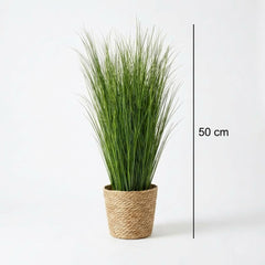 Kunst-Schilfgras-Rispen 50 cm (10 Stück)