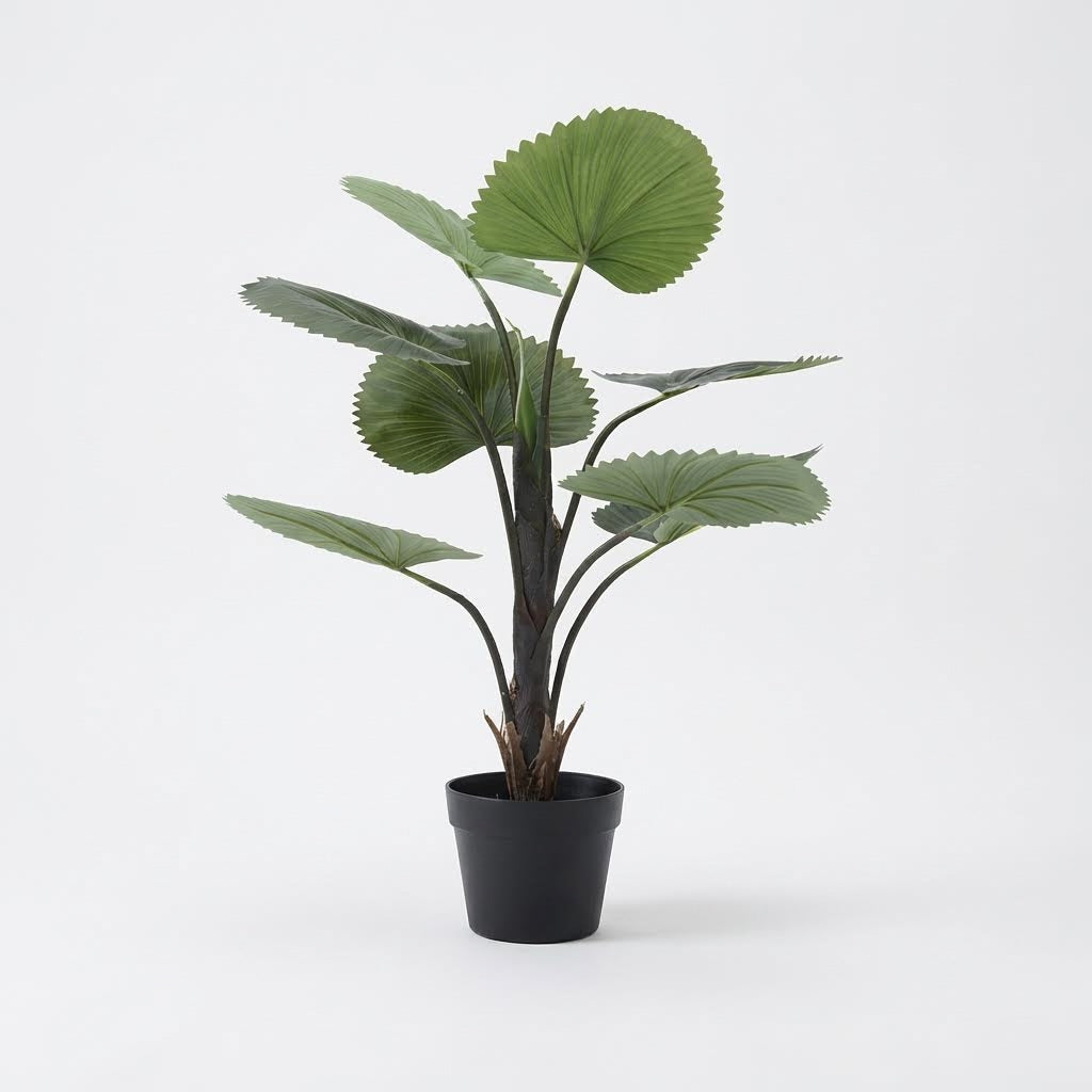 Kunst waaierpalm 75 cm, volledige plant op witte achtergrond