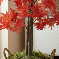 Kunst Japanse Esdoorn Rood 120 cm