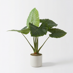 Kunst-Alocasia 90 cm