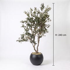 Kunst Olijfboom 210–240 cm