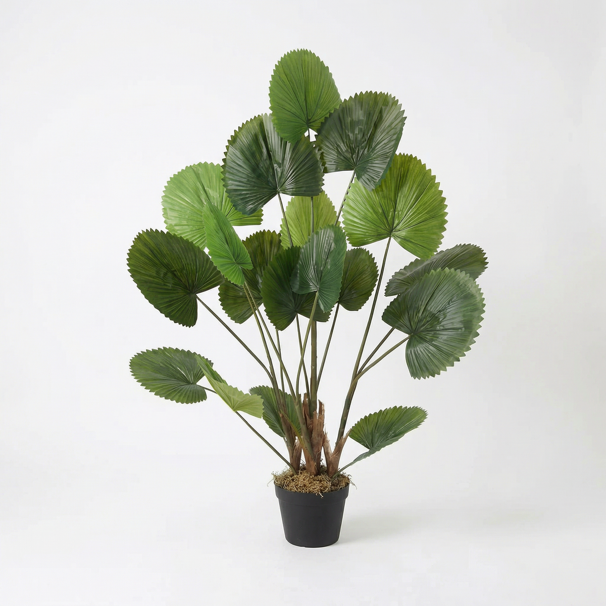 Kunst waaierpalm 120 cm, volledige plant op witte achtergrond