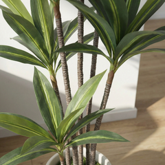 Kunst Yucca Dracaena 180 cm