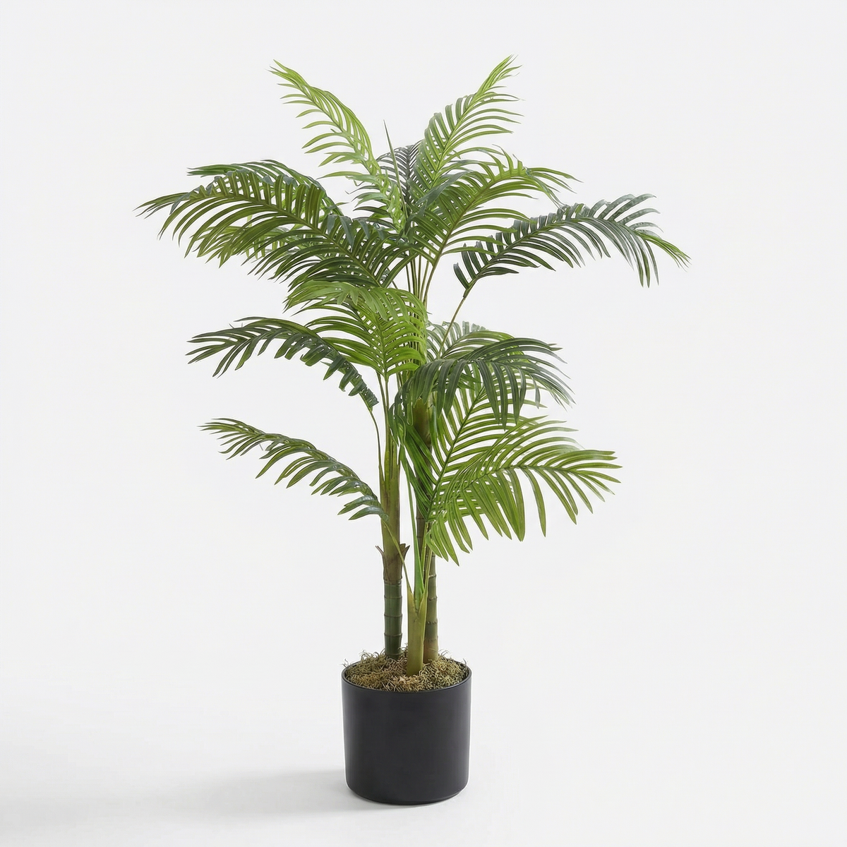 Kunst phoenixpalm fris 150 cm, volledige plant op witte achtergrond