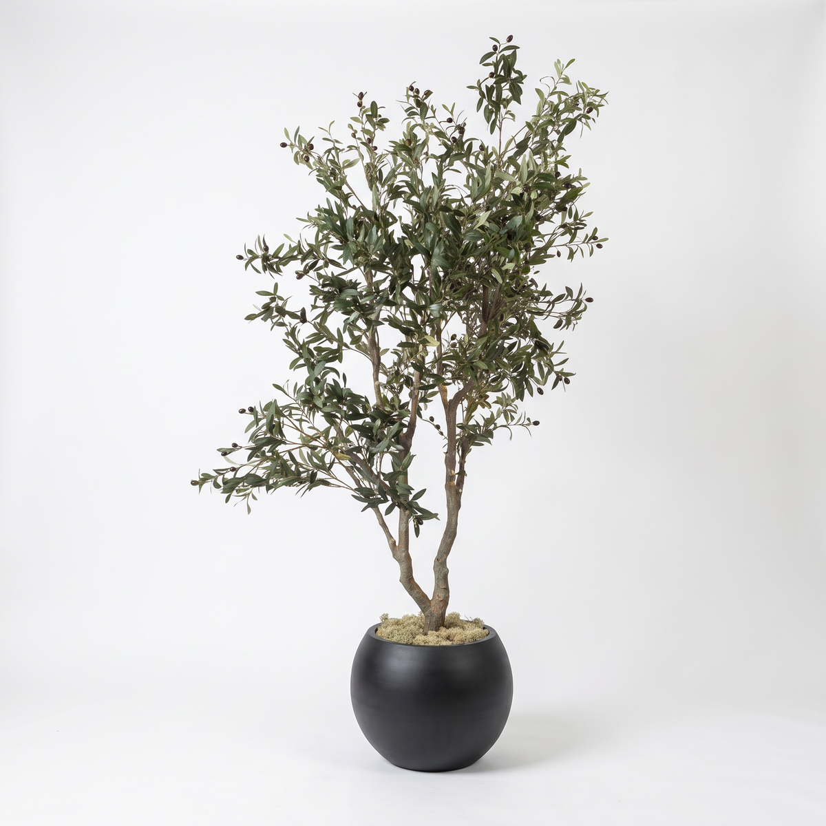 Kunst olijfboom 210–240 cm, volledige boom op witte achtergrond