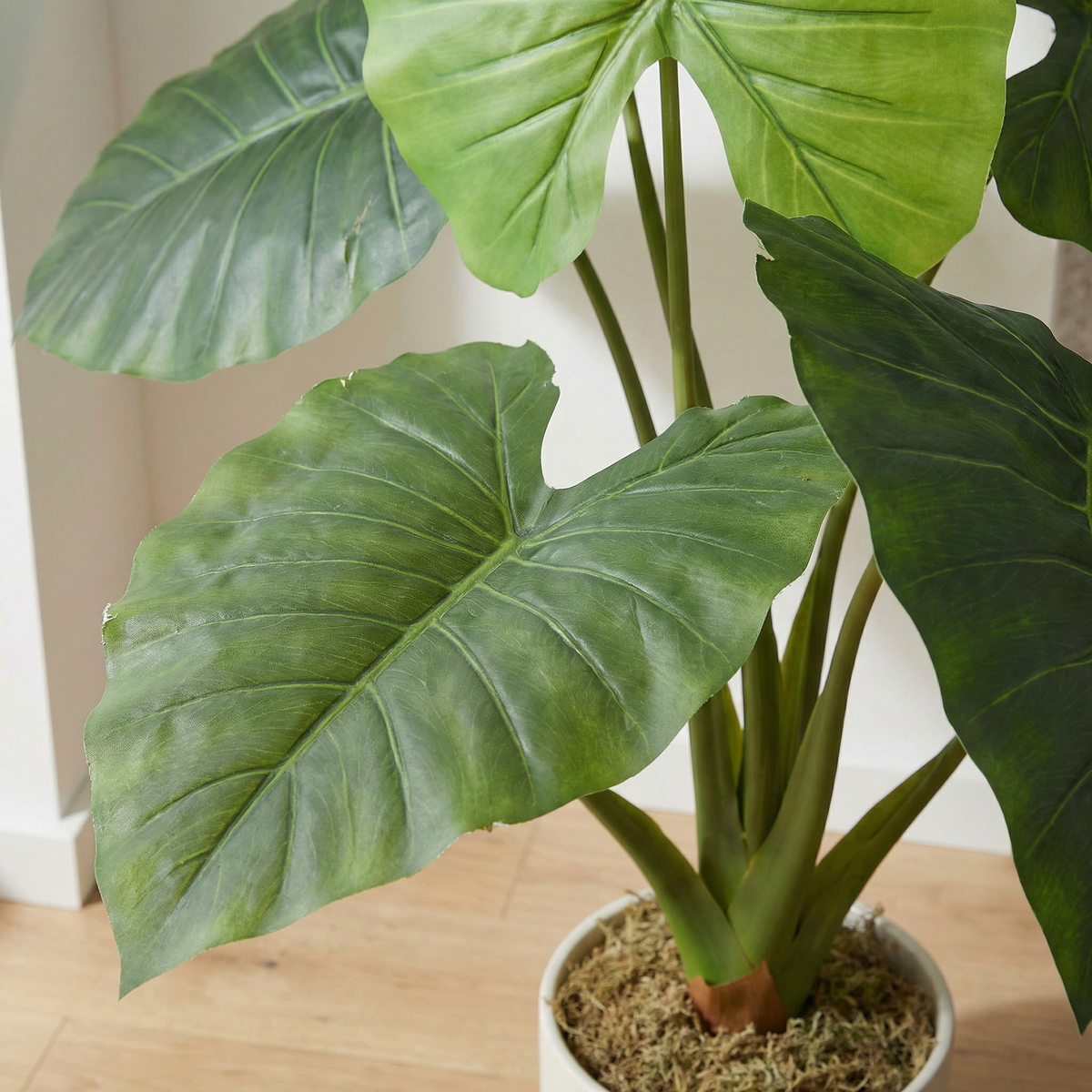 Künstliche Alocasia 90 cm, Nahaufnahme Blatt