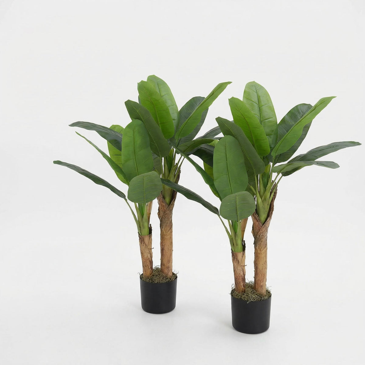 Kunst bananenplant 120 cm (set van 2), volledige plant op witte achtergrond (set van 2)