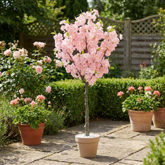 Kunst Sakura Kersenboom Roze 150 cm