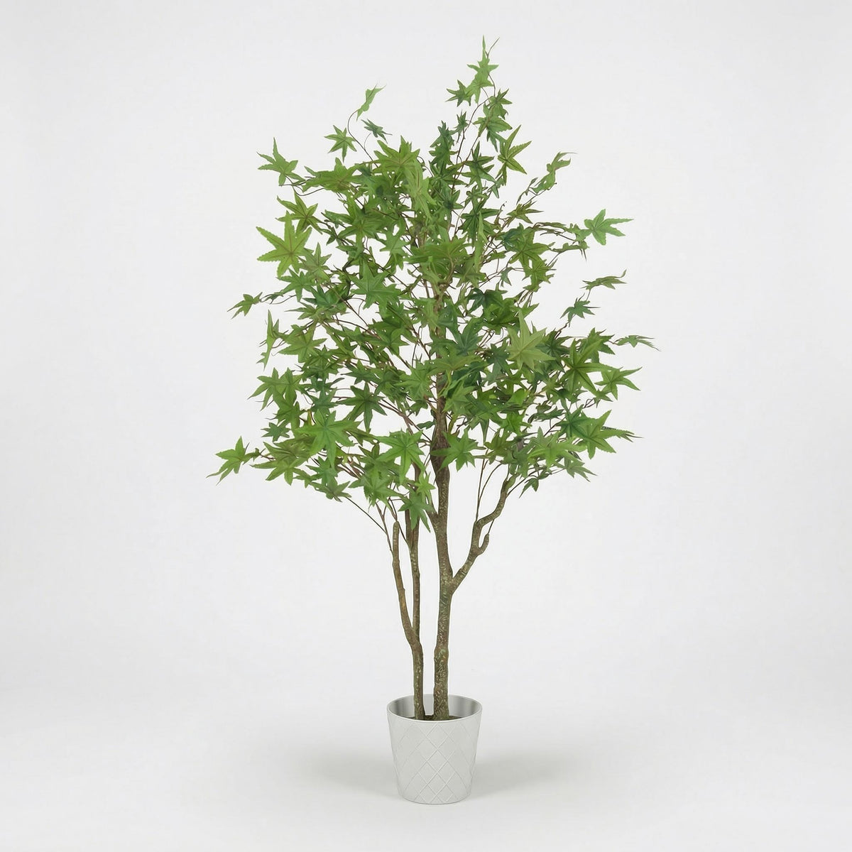Kunst Japanse esdoorn groen 150 cm, volledige plant op witte achtergrond