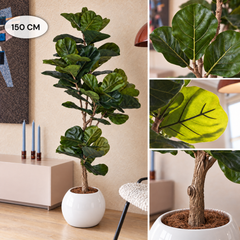 Kunst Ficus Lyrata 150–210 cm