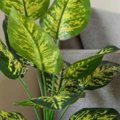Kunst Dieffenbachia Stelen Groen-Geel 45 cm