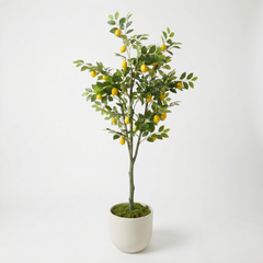 Kunst Citroenboom 150–180 cm