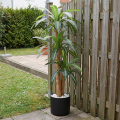Kunst-Dracaena Massangeana 160 cm