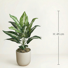 Kunst Dieffenbachia Stelen Groen-Wit 45 cm