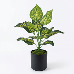 Kunst Dieffenbachia Stelen Groen-Geel 45 cm