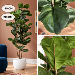 Kunst Ficus Lyrata 150–210 cm