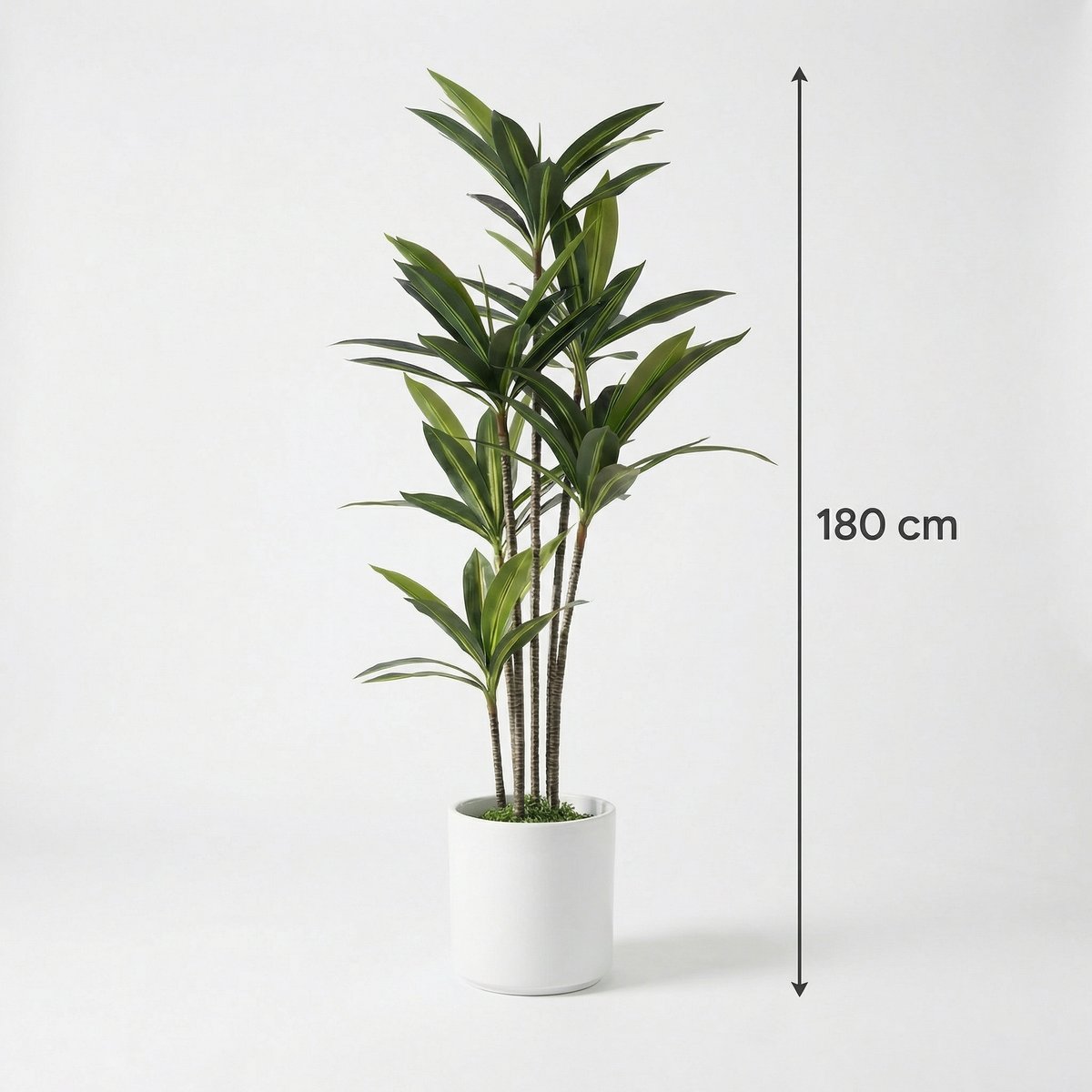 Künstliche Yucca Dracaena 180 cm
