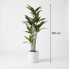 Kunst Yucca Dracaena 180 cm