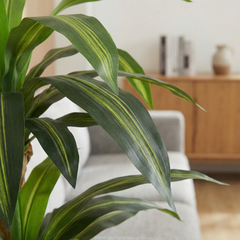 Kunst-Dracaena Massangeana 160 cm
