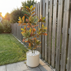 Kunst Croton Stelen 120 cm