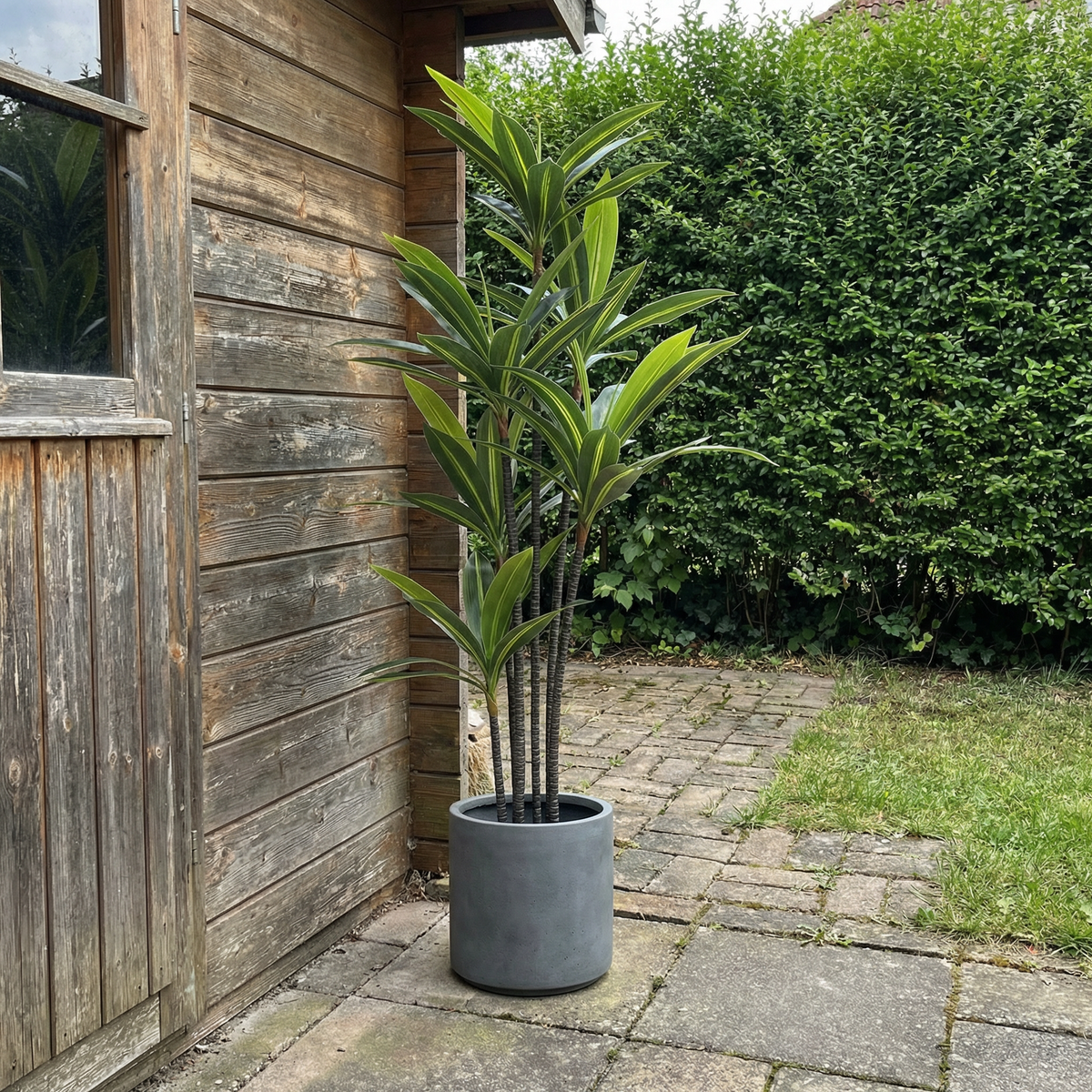 Kunst yucca dracaena 180 cm buiten in tuin