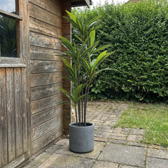 Kunst Yucca Dracaena 180 cm