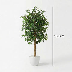 Kunst Ficus Nitida 180 cm