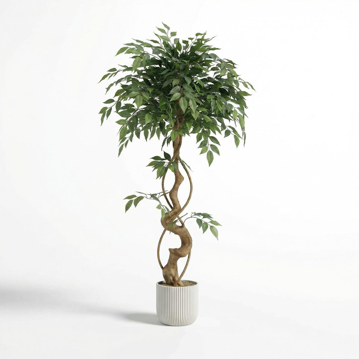 Kunst ficusboom 120–150 cm met decoratieve pot, volledige plant op witte achtergrond