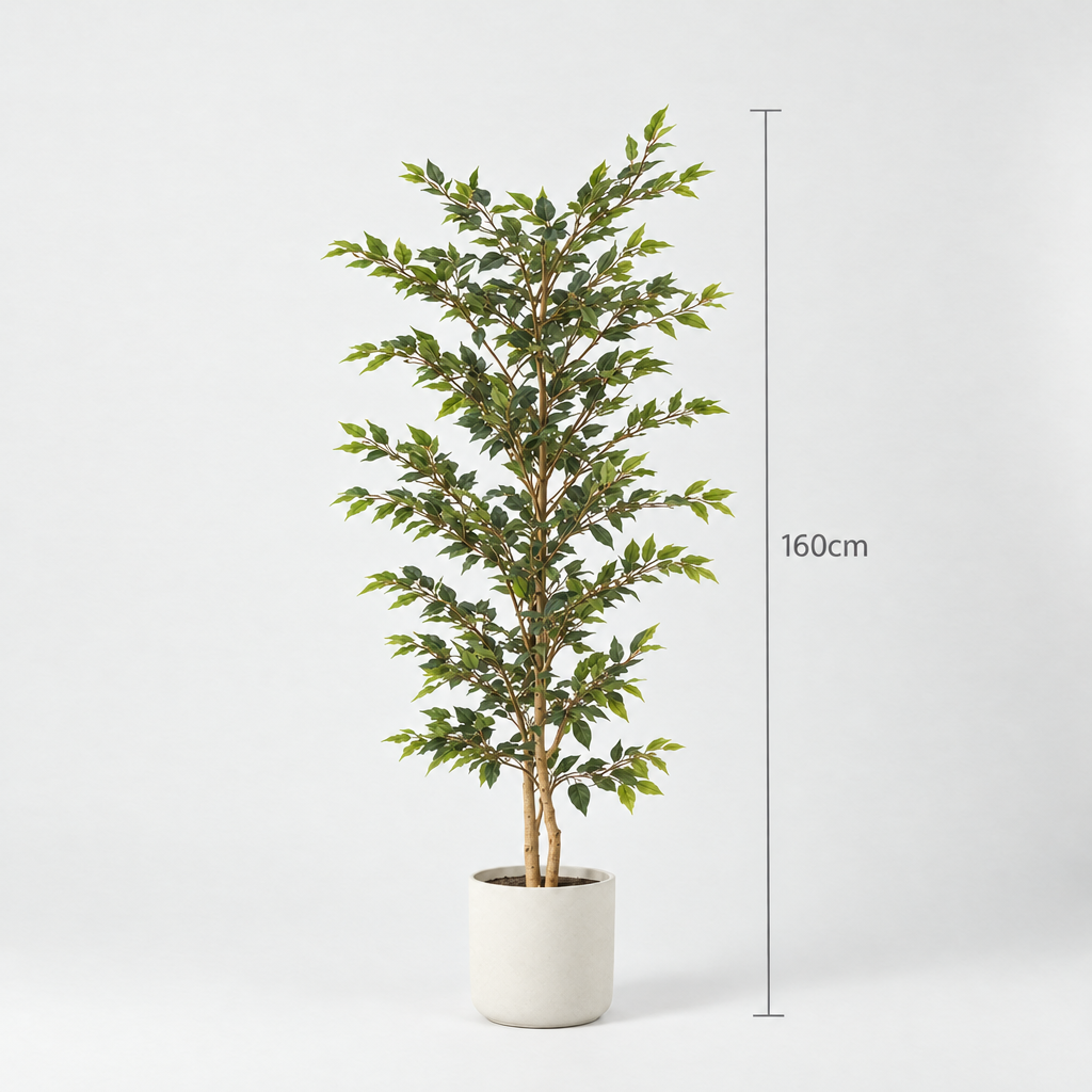 Kunst ficus alii 160 cm in crèmekleurige pot met hoogteaanduiding, vooraanzicht op witte achtergrond
