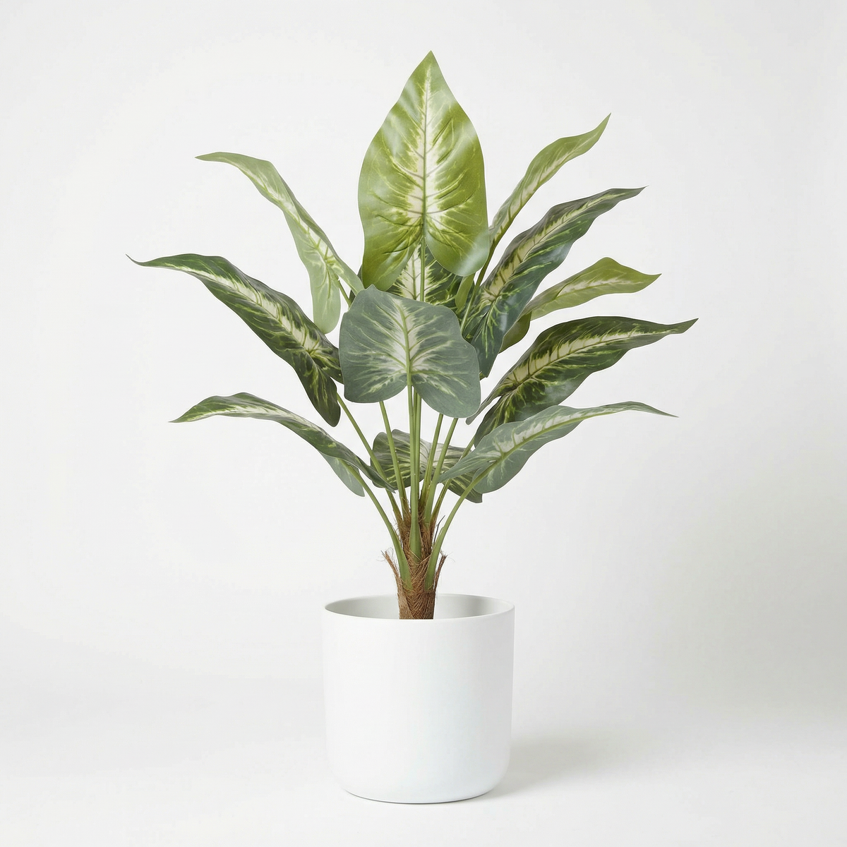 Kunst dieffenbachia stelen groen-wit 45 cm, volledige plant op witte achtergrond
