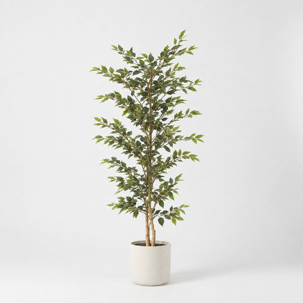 Kunst ficus alii 160 cm met drie stammen in crèmekleurige cilinderpot, studiofoto op lichte achtergrond