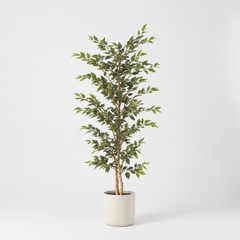 Kunst Ficus Alii 160 cm